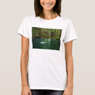 T-shirts México, Iucatão, lago cénico