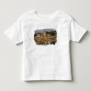 T-shirts México, província de Chiapas, Palenque, O Palácio