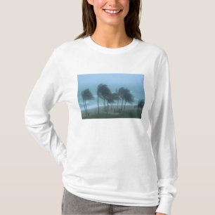T-shirts Miami Beach, Flórida, ventos de furacão açoitando