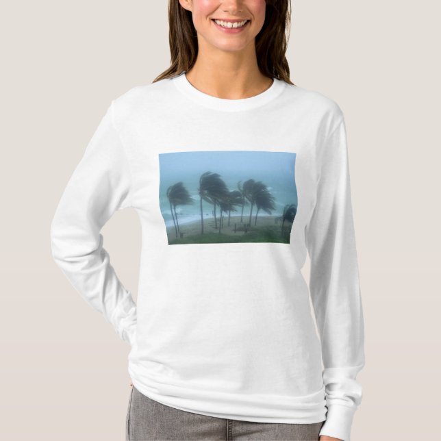 T-shirts Miami Beach, Flórida, ventos de furacão açoitando (Frente)