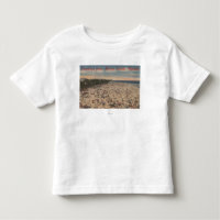 Miami Beach, FloridaGreetings FromMiami, FL