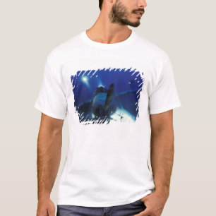 T-shirts Micronésia, Palau, Patrimônio Mundial. Divers