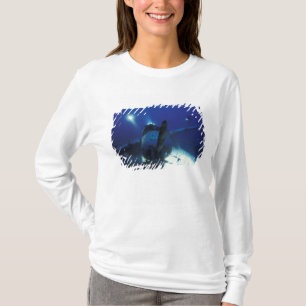 T-shirts Micronésia, Palau, Patrimônio Mundial. Divers