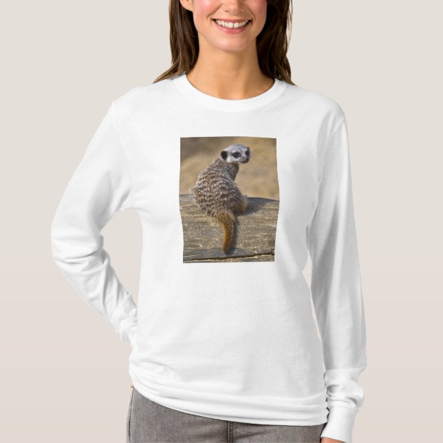 T-shirts Mini Kat Tee (Frente)