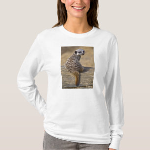 T-shirts Mini T do Kat