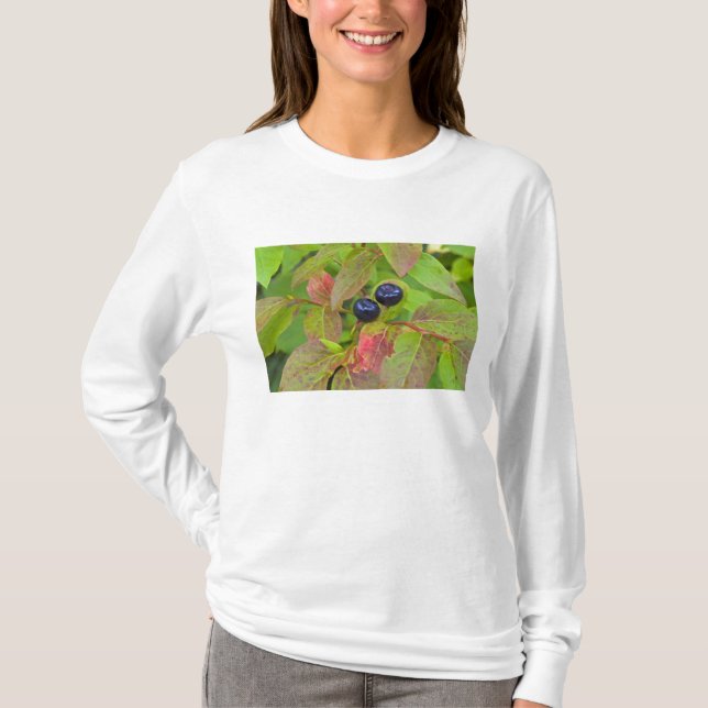 T-shirts Mirtilos maduros no Flathead National (Frente)