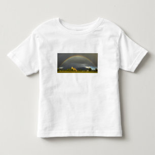 T-shirts Missão Histórica de Ignatius da Rua em Ignatius,