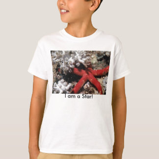 T-shirts Miúdo da estrela