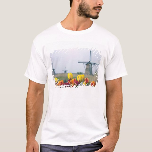 T-shirts Moinhos de vento e tulipas ao longo do canal em (Frente)