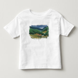 T-shirts Montanhas do primavera