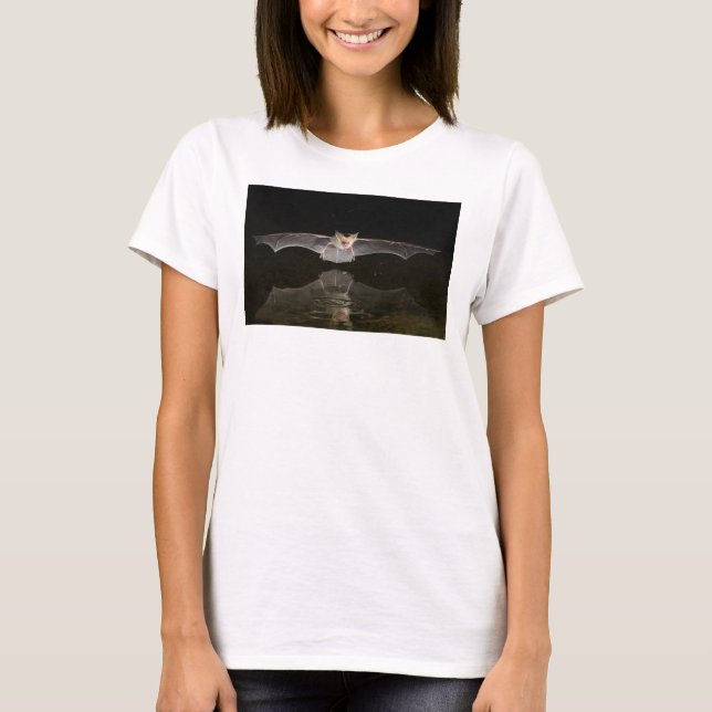 T-shirts Morcego bebendo em voo, Arizona (Frente)