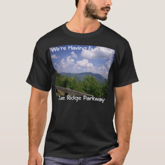 T-shirts Mountain View azul do Parkway de Ridge