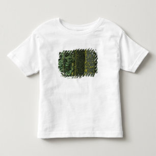 T-shirts Mt. Ashland, Floresta Nacional Rogue RIver,