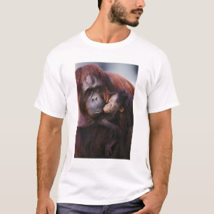 T-shirts Mulher Sumatran Orangutan com bebê Pongo