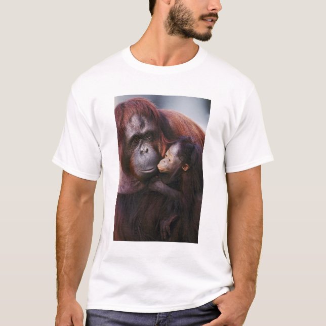 T-shirts Mulher Sumatran Orangutan com bebê Pongo (Frente)