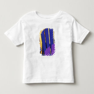 T-shirts N.A. Canadá, Nova Scotia, Bridgewater. Colorido 4