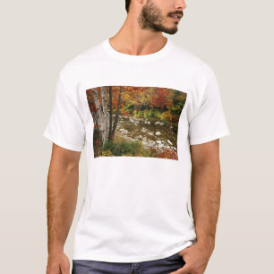T-shirts N.A., EUA, New Hampshire, White Mountains,