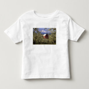 T-shirts N.A., EUA, Oregon, Hood River County. Vermelho