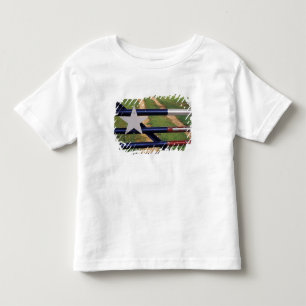 T-shirts N.A., EUA, Texas, Lago Buchanan, bandeira do Texas