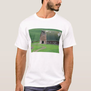 T-shirts N.A., EUA, Washington, Condado de Whitman. Velho