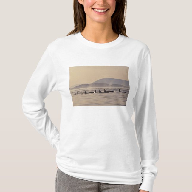 T-shirts N.A., EUA, Washington, Ilhas San Juan Orca (Frente)