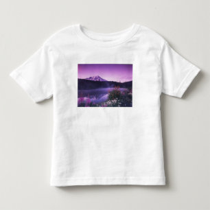 T-shirts N.A., EUA, Washington, Mt. Rainier Nacional