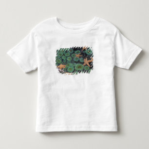 T-shirts N.A., EUA, Washington, Parque Nacional Olímpico