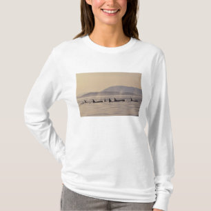 T-shirts N.A., EUA, Washington, San Juan Islands Orca