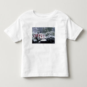T-shirts N.A., EUA, Washington, Seattle. Ponte da lua em