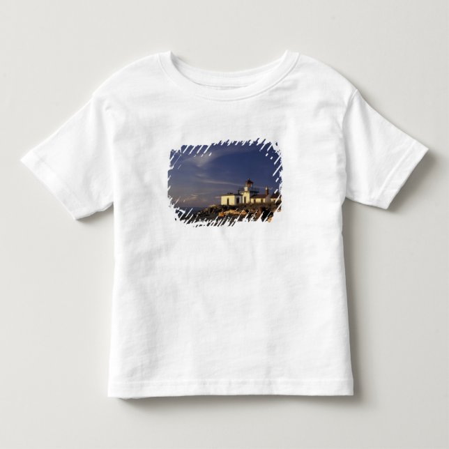 T-shirts N.A., EUA, Washington, Seattle Westpoint (Frente)