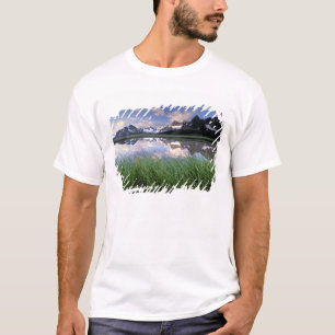 T-shirts NA, Canadá, Alberta, Tonquin Valley. Jasper