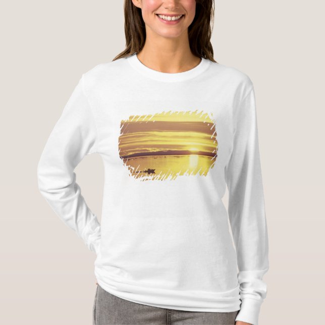 T-shirts NA, Canadá, Ártico Canadense, Ilha de Baffin (Frente)