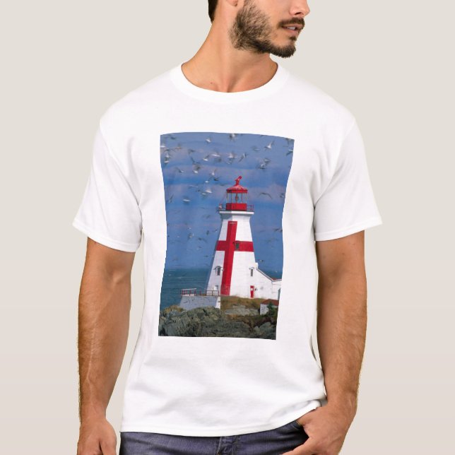 T-shirts NA, Canadá, New Brunswick, Ilha Campobello. 8 (Frente)