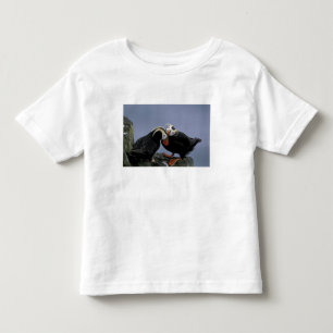 T-shirts NA, EUA, Alasca, Mar de Bering, Pribilofs. Penacho