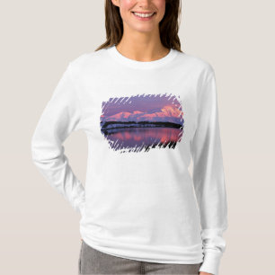 T-shirts NA, EUA, Alasca, Parque Nacional Denali, Mt. McKin