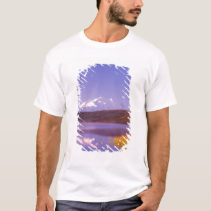 T-shirts NA, EUA, Alasca, Parque Nacional Denali, Wonder La