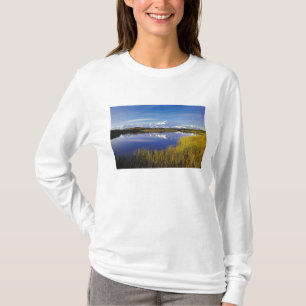T-shirts NA, EUA, Alaska, Denali NP Mt. McKinley em