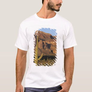T-shirts NA, EUA, Arizona. Organ Pipe Cactus