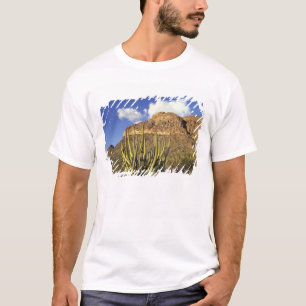T-shirts NA, EUA, Arizona. Organ Pipe Cactus National 3