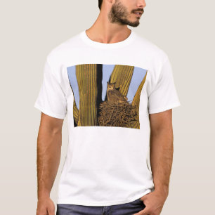 T-shirts NA, EUA, Arizona, Tucson. Coruja-grande
