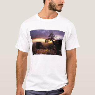T-shirts NA, EUA, Arizona, Tucson, Pôr do sol e solitária
