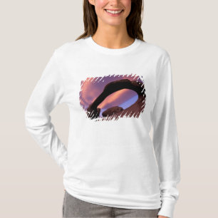 T-shirts NA, EUA, Califórnia, Eastern Sierra, Alabama