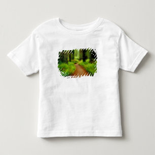 T-shirts NA, EUA, Califórnia, Jedediah Smith Redwoods