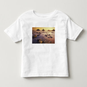T-shirts NA, EUA, Califórnia, Norte da Califórnia,