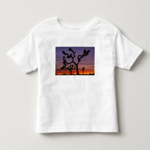 T-shirts NA, EUA, Califórnia. Parque Nacional Joshua Tree