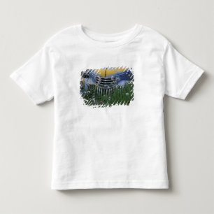 T-shirts NA, EUA, leste de Washington, Caminhão antigo com