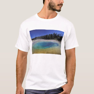 T-shirts NA, EUA, Wyoming, Parque Nacional de Yellowstone. 
