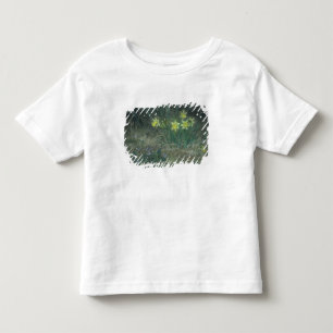 T-shirts Narciso e violetas, c.1867
