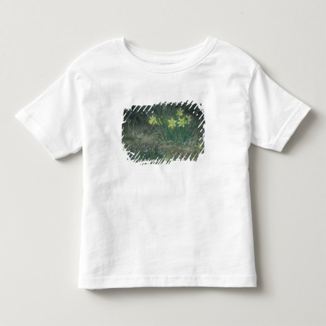 T-shirts Narciso e violetas, c.1867 (Frente)