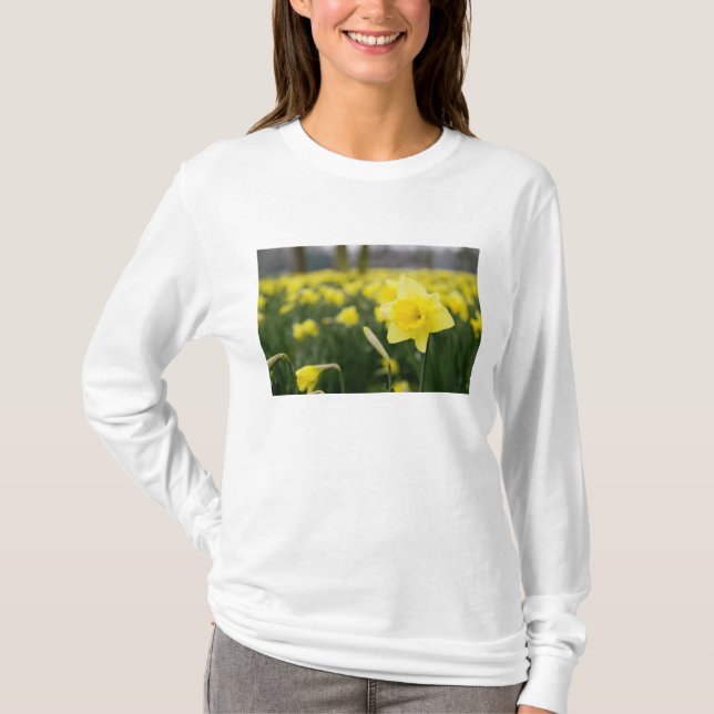 T-shirts Narcisos (RF) (Frente)